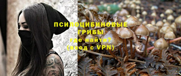 а пвп мука Мегион